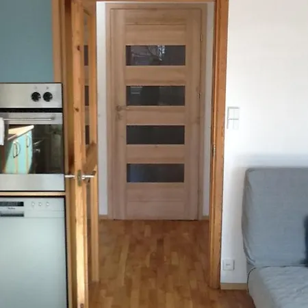 Goscinne Przy Plazy Homestay Rewa